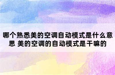 哪个熟悉美的空调自动模式是什么意思 美的空调的自动模式是干嘛的